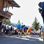 Апартаменты Tirol *