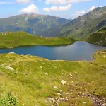 Апартаменты Tirol *