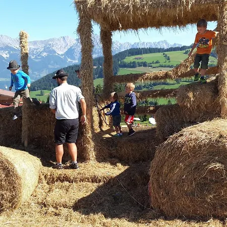 Daire Tirol
