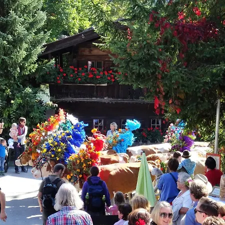 Tirol Appartement Hopfgarten im Brixental