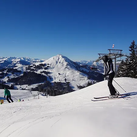 Appartement Tirol *